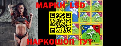 кокс Кингисепп