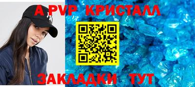 кокс Кингисепп