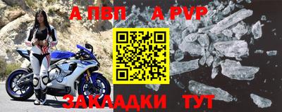 кокс Кингисепп