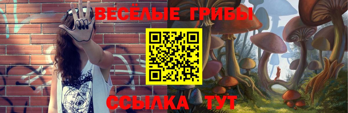 Кудымкар  Псилоцибиновые грибы MAGIC MUSHROOMS  Вход с VPN 