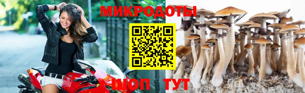 Псилоцибиновые грибы мухоморы Кудымкар